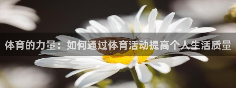 体育的力量：如何通过体育活动提高个人生活质量