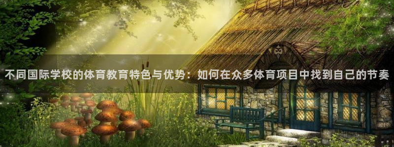 不同国际学校的体育教育特色与优势：如何在众多体育项目中找到自己的节奏