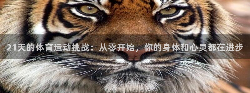 21天的体育运动挑战：从零开始，你的身体和心灵都在进步