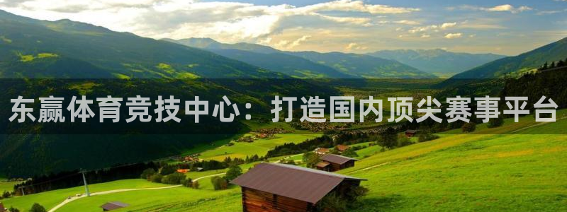 东赢体育竞技中心：打造国内顶尖赛事平台