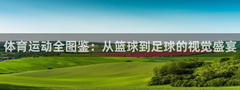 体育运动全图鉴：从篮球到足球的视觉盛宴