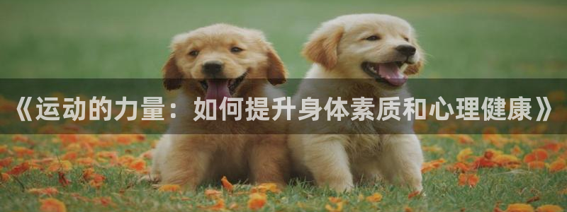 《运动的力量：如何提升身体素质和心理健康》